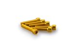 Kit Visserie Carénage En Aluminium Anodisé Jaune Blister 6 vis allen M6x30mm