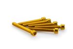 Kit Visserie Carénage En Aluminium Anodisé Jaune Blister 6 vis allen M6x45mm