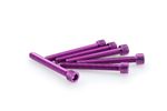 Kit Visserie Carénage En Aluminium Anodisé Violet Blister 6 vis allen M6x50mm