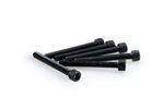 Kit Visserie Carénage En Aluminium Anodisé Noire Blister 6 vis allen M6x50mm