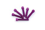 Kit Visserie Carénage En Aluminium Anodisé Violet Blister 6 vis allen M8x45mm
