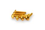 Kit Visserie Carénage En Aluminium Anodisé Jaune Blister 6 vis bombé M5x25mm