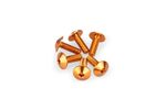 Kit Visserie Carénage En Aluminium Anodisé Bulles Orange 6 Vis M5x15 Tête diamètre 11,8mm