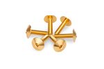 Kit Visserie Carénage En Aluminium Anodisé Bulles Or 6 Vis M5x15 Tête diamètre 13,9mm