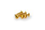 Kit Visserie Carénage En Aluminium Anodisé Jaune Blister 6 vis bombé M6x20mm