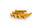 Kit Visserie Carénage En Aluminium Anodisé Jaune Blister 6 vis allen M5x25mm