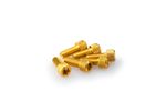 Kit Visserie Carénage En Aluminium Anodisé Jaune Blister 6 vis allen M6x15mm