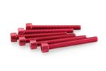 Kit Visserie Carénage En Aluminium Anodisé Rouge Blister 6 vis allen M6x50mm