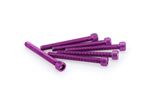 Kit Visserie Carénage En Aluminium Anodisé Violet Blister 6 vis allen M6x55mm