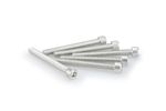 Kit Visserie Carénage En Aluminium Anodisé Argent Blister 6 vis allen M6x55mm