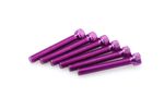 Kit Visserie Carénage En Aluminium Anodisé Violet Blister 6 vis allen M8x55mm