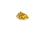 Kit Visserie Carénage En Aluminium Anodisé Jaune Blister 6 vis bombé M5X15mm