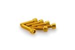 Kit Visserie Carénage En Aluminium Anodisé Jaune Blister 6 vis allen M6x25mm