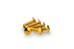 Kit Visserie Carénage En Aluminium Anodisé Jaune Blister 6 vis bombé M6x25mm