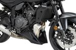  Schwarz Motorschutz