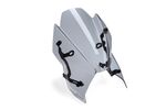  Sport Rook helder Windscherm