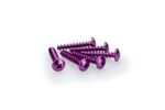 Kit Visserie Carénage En Aluminium Anodisé Violet Blister 6 vis bombé M6x30mm