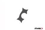  Xtreme Carbon Appearance Gabelschutz
