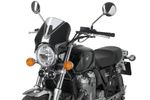  Retrovision Transparant Windscherm