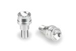 Extremidades do guiador Speed Argent