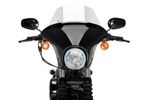  Touring Batwing SML Transparent Gabelplatten