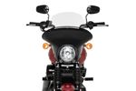  Touring Batwing SML Transparent Gabelplatten