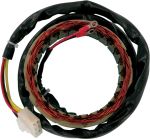 Stator d'allumage CHS1NWL