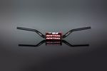Guidon R-Works Fatbar 36 931 Reed/Windham
