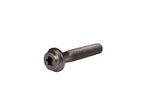  18601504 Silencer screws