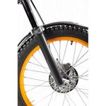 Carbon Gabelschutz
