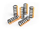  Racing Clutch Spring Kit Clutch springs