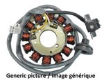  Lichtmaschinen-Stator Zündungsstator