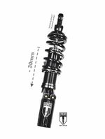  BLACK-T - Stage 3 - (-30 mm) - Black Shock absorber
