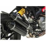  Double carbon homologues stacked - aluminium tip Silencer