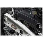  stainless steel special edition - black stainless steel tip Silencer