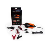 Chargeur de batterie Chargeur de batterie LiFePo4-Pb
