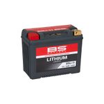  Lithium Ion BSLi-11 Battery