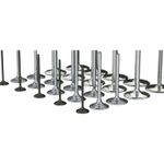  racing titanium Inlaatventiel