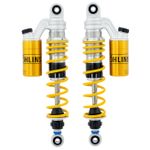 Amortisseur Arrière