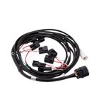 Faisceau Plug&Play Traction control : assistant AR