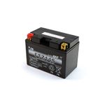  FTZ14S FA ferme Type Acide Sans entretien/prête à l'emploi Battery