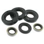  Oil seal kit Sealing kit