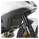  INOX Heizkörpergitter