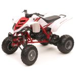 Miniature Quad Yamaha Raptor 660R - Echelle 1/12°