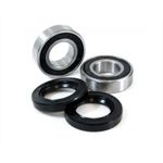  Before Wheel bearings + spys kit