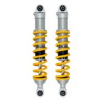 Amortisseur Arrière