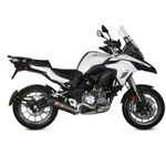 Silencieux OVAL CARBONE