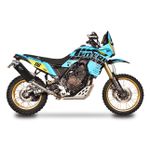 Silencieux Dakar Dark style