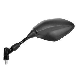 type origine droit noir (l'unité)