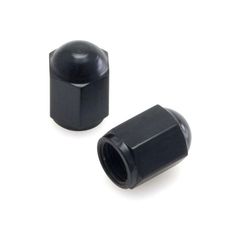 Bouchon Noir (la paire)